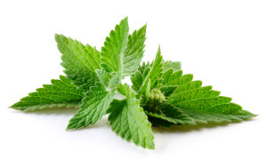 How Many Ways Can You Use Peppermint Oil